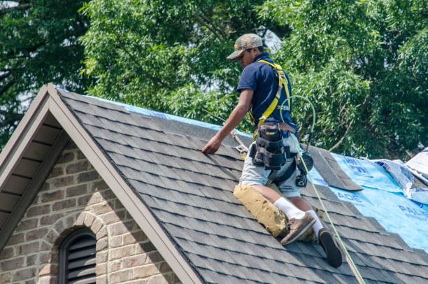 Best Roof Gutter Cleaning  in Big Beaver, PA
